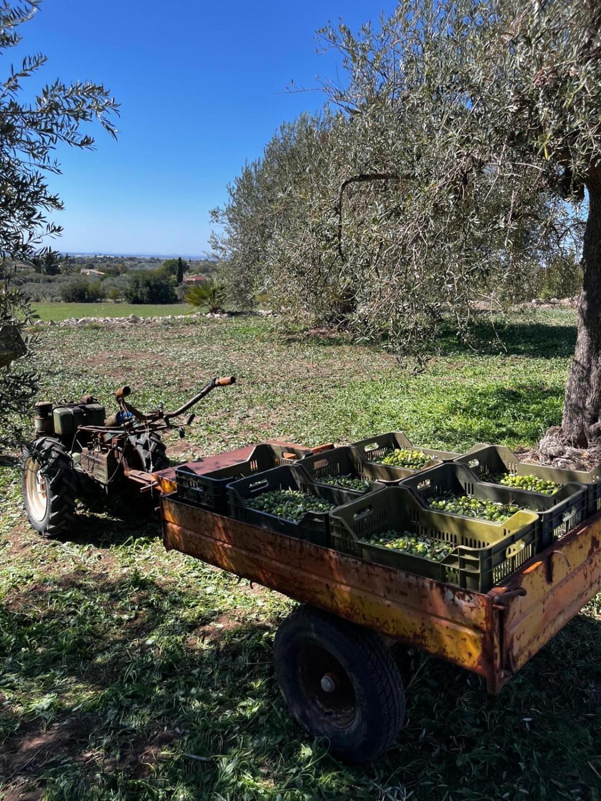 La Bella Vita Agriturismo Chiaramonte Gulfi Exterior foto